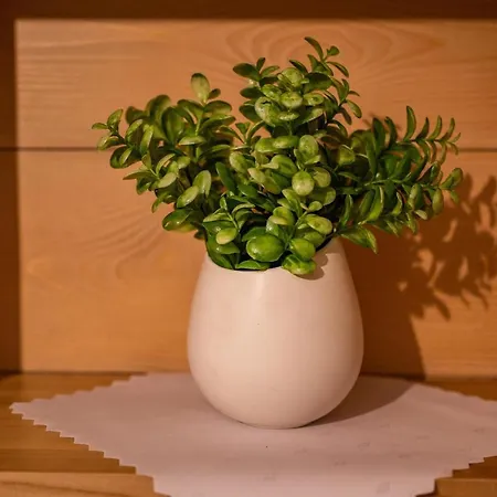 Homestay Dolina Harenda